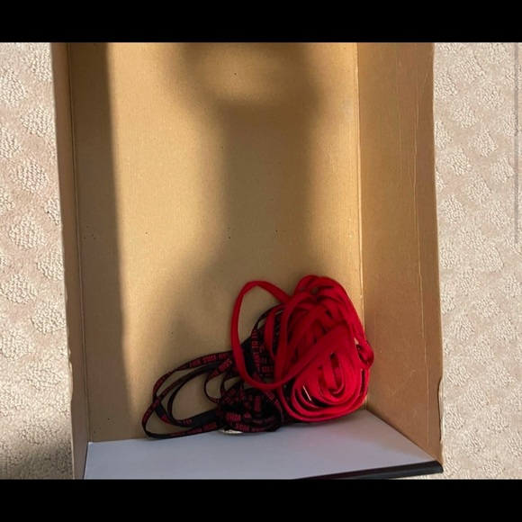 Jordan 1 High Bloodline - Picture 5 of 6